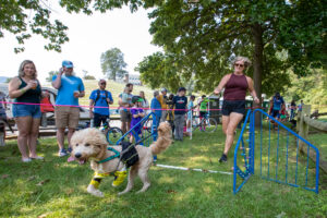 White woman with large beige poodle running on a race course