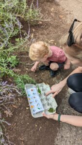 Small child hunts for nature leaves and rocks for a nature scavenger hunt